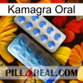Oral Kamagra 40